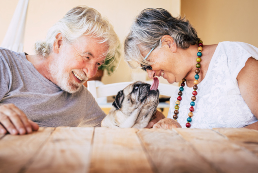 Should You Adopt a Pet in Your Senior Years?