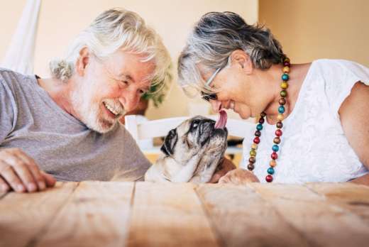 Should You Adopt a Pet in Your Senior Years?